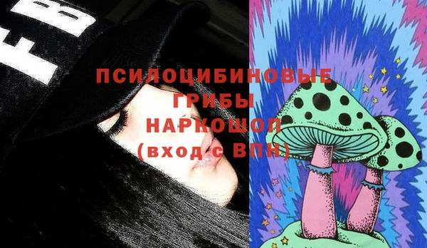 ГАЛЛЮЦИНОГЕННЫЕ ГРИБЫ Лабытнанги