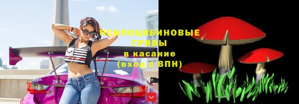 прущий лед Лиски