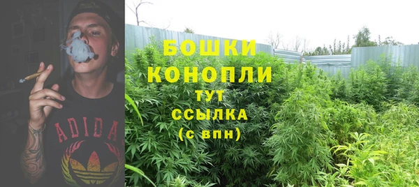 гидропоника Лагань