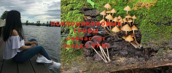 прущий лед Лиски