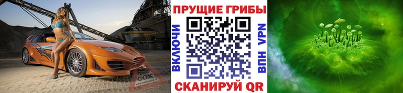 shop Telegram  Тында  Псилоцибиновые грибы MAGIC MUSHROOMS  сколько стоит 