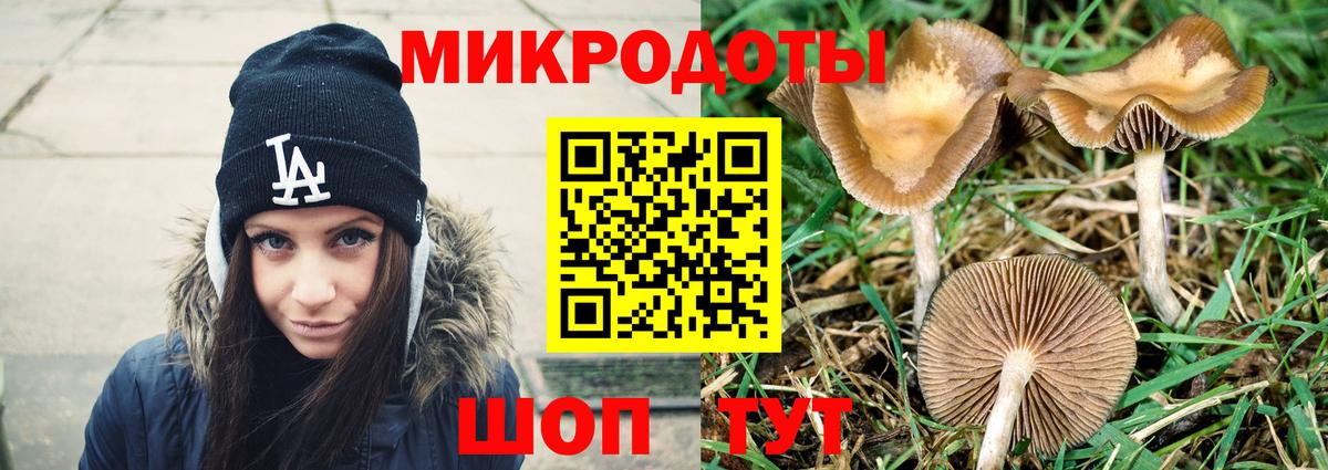 Псилоцибиновые грибы мицелий Тында