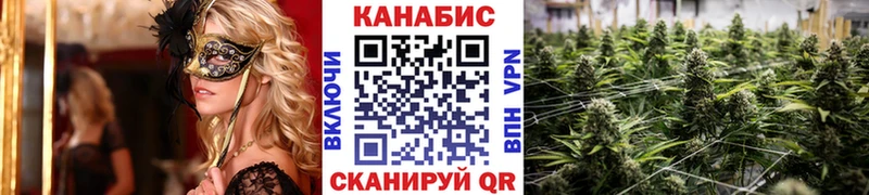 блэк спрут как зайти  где купить наркоту  Тында  Бошки Шишки тримм 
